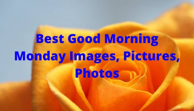 Best Good Morning Monday Images, Pictures, Photos