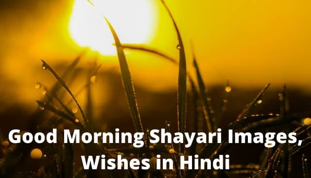 Good Morning Shayari Images, Wishes in Hindi