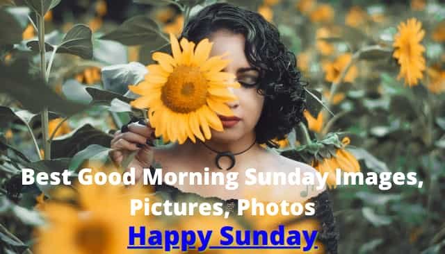 Best Good Morning Sunday Images, Pictures, Photos