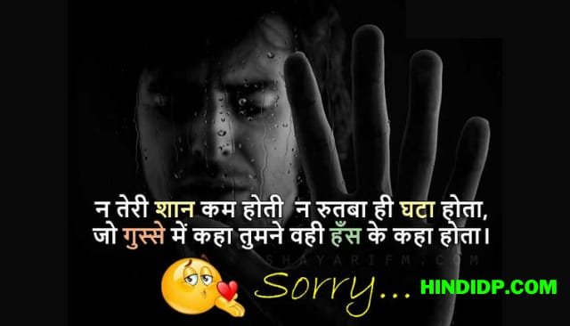 Sorry Shayari, सॉरी शायरी