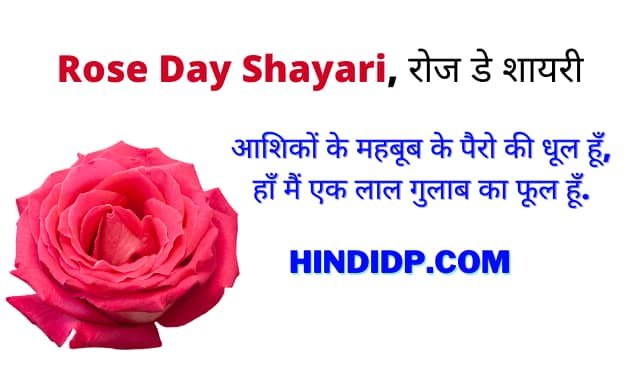 Rose Day Shayari, रोज डे शायरी