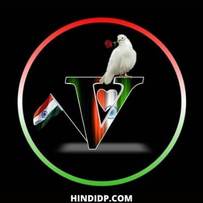 n and v name dp