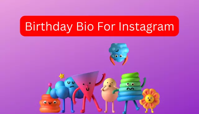 Birthday Bio For Instagram